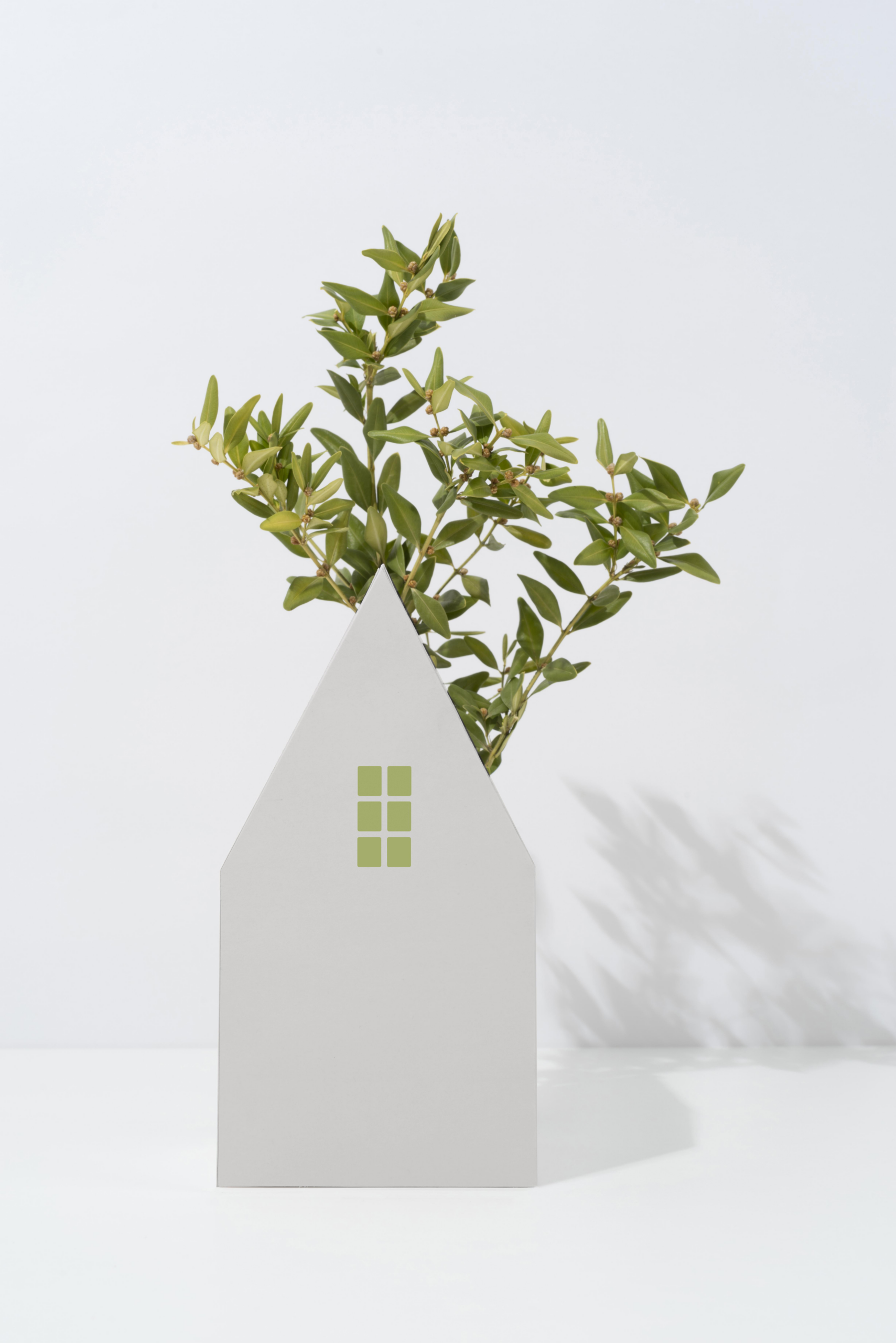 photo écran d'accueil